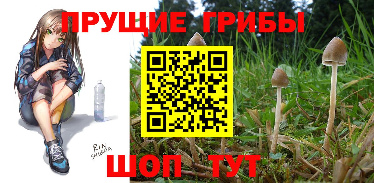 Псилоцибиновые грибы GOLDEN TEACHER  Галлюциногенные грибы Magic Shrooms  Вход с VPN  Чапаевск 