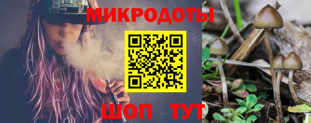 Псилоцибиновые грибы Psilocybine cubensis Чапаевск
